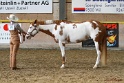 22-APHA HOTC_033